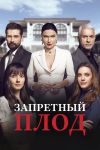 Турецкий сериал Запретный плод